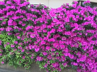 4月25日教会総会無事に終わりました